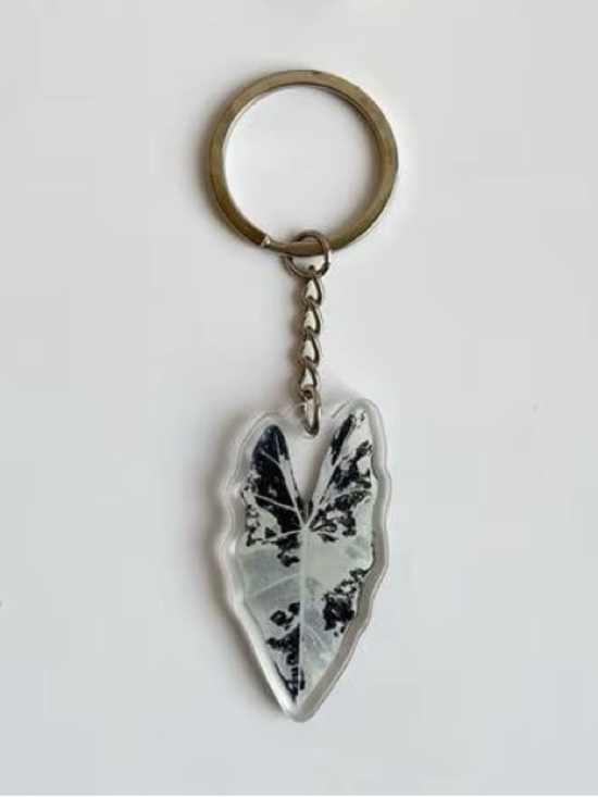 Accessories - Variegated Alocasia Silver Leaf Keyring Keychain - Brand New!